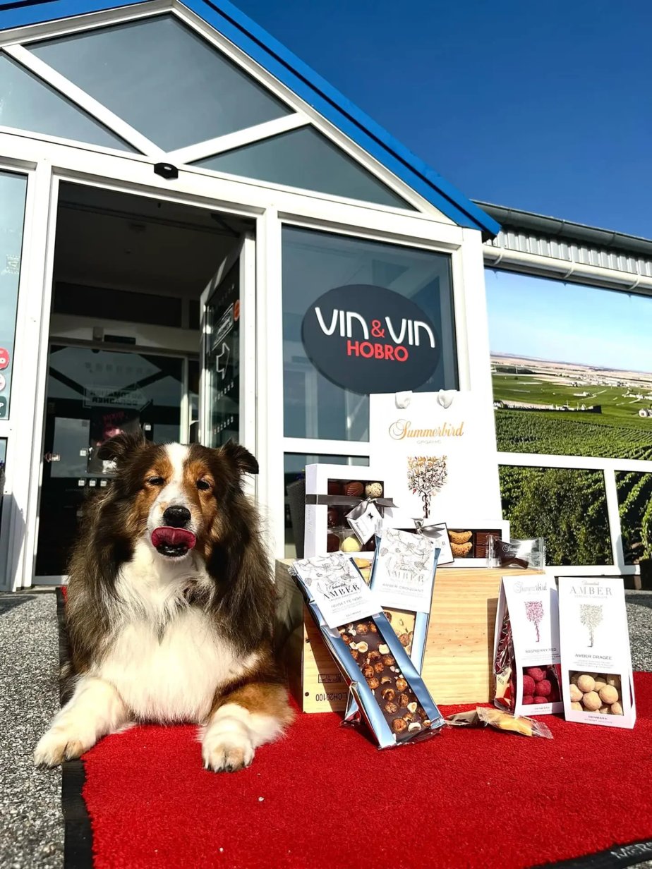 Bailey, butikshund i Vin & Vin Hobro
